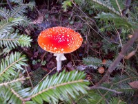 /album/hallo-hamburg/img-20121002-01101-jpg/